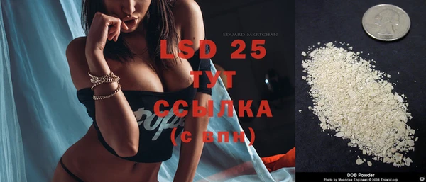 прущие крисы Беломорск