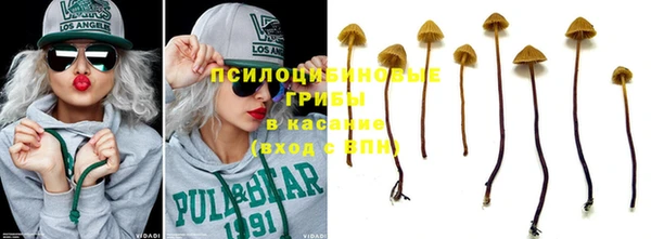 прущие крисы Беломорск