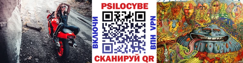 Галлюциногенные грибы мицелий  где найти наркотики  MEGA ТОР  Облучье 